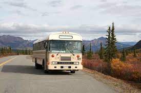 Denali hostel and cabins is assisting visitors by providing a shuttle service to denali national park and other important venues in the area at the lowest possible price to cover costs of lodges serviced include denali hostel & cabins, carlo creek lodge, the perch cabins, and creekside cabins. Different Kinds Of Buses In Denali National Park