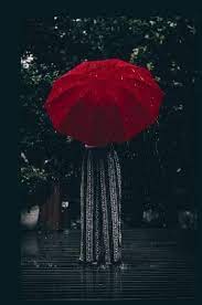 Lady Rain Hardcover Blank Notebook In 2021 Red Umbrella Umbrella Red Colour Images
