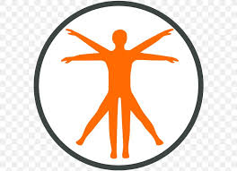 Male anatomy & arousal course synopsis: Vitruvian Man Physiology Human Body Anatomy Png 592x592px Vitruvian Man Anatomy Area Art Artwork Download Free