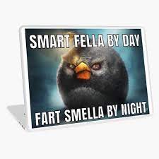 smart fella by day fart smella by night