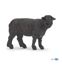 Check spelling or type a new query. Black Sheep Papo