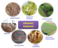 Organic Farming Basic Steps Of Organic Farming