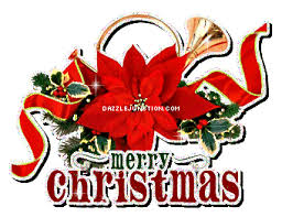 Image result for Poinsettia animated