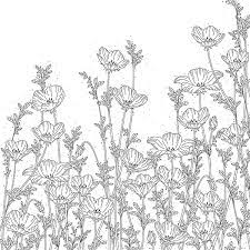Flowers and plants coloring pages (paperback) from s j coloring book, and all your other favorites, from walmart on accuweather today. Delicate Floral Graphics Part 2 Flower Coloring Pages Coloring Pages Coloring Books