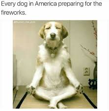 Pin By Maddie On Shittles Giggles Cute Jokes Funny Dogs Funny