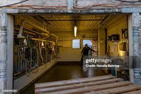 24 Photos & High Res Pictures