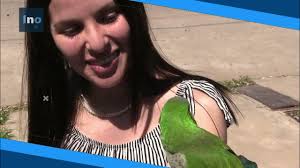 El loro Pepin cumplió seis años de vida y su familia humana le festejó el  cumpleaños