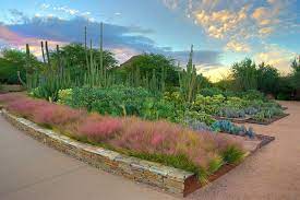 A guide to phoenix community gardens. Arizona Gardening Tips