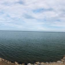 37,483 likes · 244 talking about this. Puerto San Carlos San Carlos Baja California Sur