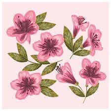 Browse 50 vector icons about flower term. Vector Hand Drawn Azalea Flowers Ai Svg Eps Uidownload