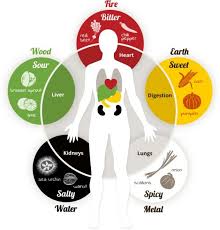 5 element theory chinese medicine living