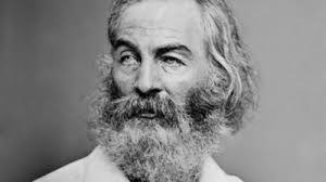 Jesse Whitman's Instagram, Twitter & Facebook