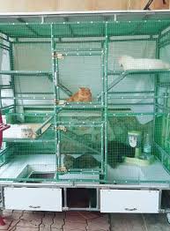 Rabbit cage and carry bag. Pin On Pvc Animal Pens And Other Projects