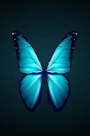 7.17 mb, was updated 2018/24/05 requirements:android: Neon Butterfly Wallpaper Download To Your Mobile From Phoneky