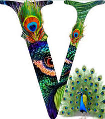 Birds That Start With The Letter V Pin By Vivian On Alfabeto Completo I V Logo Design Alphabet Letter V