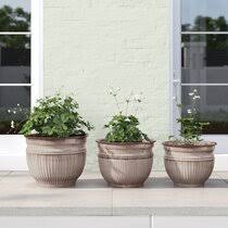 From plastic to terracotta, from big to small, we've got a huge collection online and in store. Large Planters Joss Main