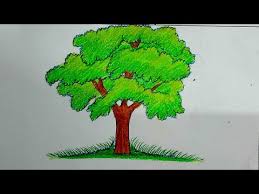 In this drawing tutorial i'm going to talk about do's and don'ts when it comes to drawing realistic tree! How To Draw A Tree Tree Tree Drawing Pencil Tree Drawing For Kids Youtube