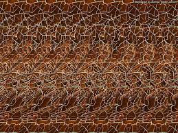 Stereogram By 3dimka Zodiac Sign Cross Eyed Tags Scorpion Crosseyed Hidden 3d Picture Sirds Hidden Pictures Magic Eye Pictures 3d Hidden Pictures