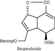 Image result for Jamesbrittenia fodina × huillana