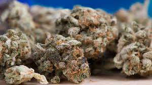 Ain. Il réceptionnait des colis de cannabis envoyés depuis les États-Unis et écope de prison ferme