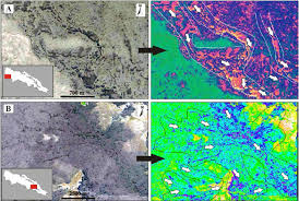 Volcanology and inflation structures of an extensive basaltic lava flow in  the Payenia Volcanic Province, extra-Andean back arc of Argentina