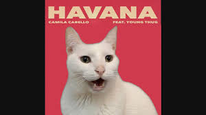 Havana Camila Cabello By Cats Despacito Shape Of You More Best Hits Cat Parody Youtube