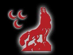 Yunus Bugra Yilmaz Ulkucu Sehit Fatih Simsek Simsek Resimler Yunus