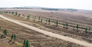 Yol geçebilir.bunun yanında arsaya kaç kat bina yapıldığını öğrenin.diyelim ki 3 kat hakkı bulunan bir arsa ile 8 kat hakkı bulunan bir arsa arasında dağlar kadar fark vardır. Bos Arsada Insaata Baslamadan Once Bilinmesi Dereken 10 Kritik Konu
