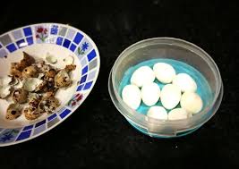 Inserta la punta de tu cuchillo en la parte superior del huevo de codorniz y luego utiliza los dedos para agrandar la abertura. Huevos De Codorniz Cocidos Receta De Cocinar Con Jorgette Cookpad