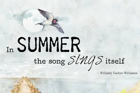 Auf jeden fall sind wir schwer. Weise Zitate Kluge Lehrreiche Worte Seite 8 Lichtkreis