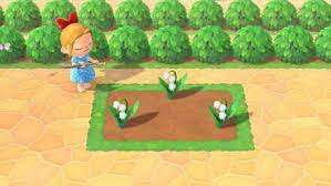 We did not find results for: How To Get Lily Of The Valley Lily Of The Valley Acnh Animal Crossing New Horizons Switch Game8