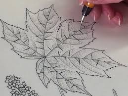 Image result for Eriolaena rulkensii