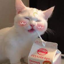 Announcements idek what tags i used to use anymore it's been a long time since i've been on tumblr tbh. Asian Stuff Like Or Reblog If You Save Have A