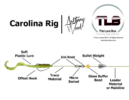 Carolina Rig Diagram Lure Box Fishing Rigs Diagram