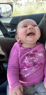 Peyton Haas Real Estate- Better Properties DLY