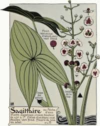 Art deco is a distinctive art style that has influenced many design disciplines, from architecture to visual arts. Beautiful Free Art Nouveau Flower Prints To Download Picture Box Blue