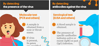 In summary, studies indicate that the b.1.1.7 variant is, in fact, neutralized by antibodies developed in individuals who have been vaccinated with pfizer and. Covid 19 Scientific Updates Isglobal