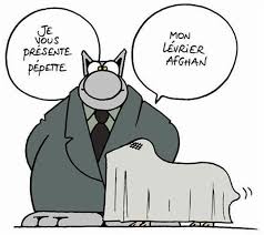 Epingle Par Alixe Mesnard Sur Blagues Phrases Et Citations Humour Noir Humour Le Chat Geluck