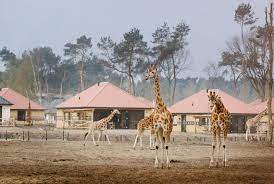 Onze bungalow had een capaciteit van 6 personen. Stay The Night At Beekse Bergen During Roadburn Festival