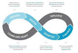 risk management process overview jonathon bray