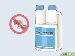 We did not find results for: How To Prevent Flea Bites With Pictures Wikihow