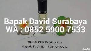 Bulu perindu palu | minyak bulu perindu palu 'best seller!! Jual Bulu Perindu Murah Di Gresik Sidoarjo Surabaya Malang 100 Asli Kalimantan Jual Bulu Perindu Asli Murah Di Daerah Gresik Sidoarjo Surabaya Kota Malang 085259007533 Bpk David