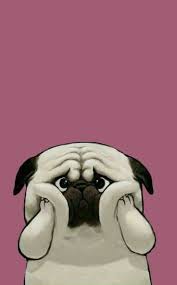 Pin By Vishal Exe On Quick Saves Puppy Wallpaper Iphone Pug Wallpaper Dog Wallpaper