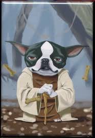 Yoda Terrier Boston Terrier Magnet Boston Terrier Gift Etsy In 2021 Boston Terrier Gift Boston Terrier Funny Boston Terrier Lover