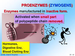 Sign up and get access to hundreds of high quality. Ppt Enzymes Powerpoint Presentation Free Download Id 1794482