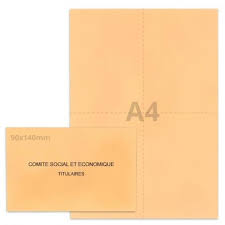 Commission santé sécurité et conditions de travail. Kits Elections Saumon Comite Social Et Economique Enveloppe Papier