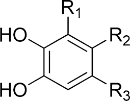 Image result for COMT Inhibitor