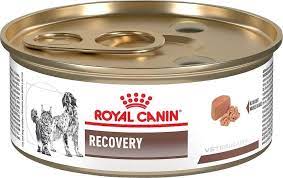 Save up to 30% off your first repeat delivery. Katzenfutter Royal Canin Recovery 192g