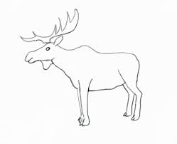 How To Draw A Moose Step By Step Drawings Stuffed Animal Patterns Moose
