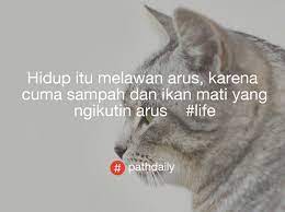 Jika kamu merasa tidak bisa lagi artinya kolaborasi ini akan meningkatkan efisiensi di tingkat entitas. Hidup Melawan Arus Kutipan Remaja Motivasi Kutipan